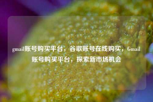 gmail账号购买平台，谷歌账号在线购买，Gmail账号购买平台，探索新市场机会