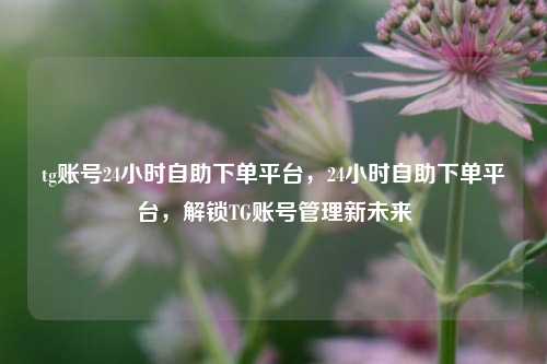 tg账号24小时自助下单平台，24小时自助下单平台，解锁TG账号管理新未来