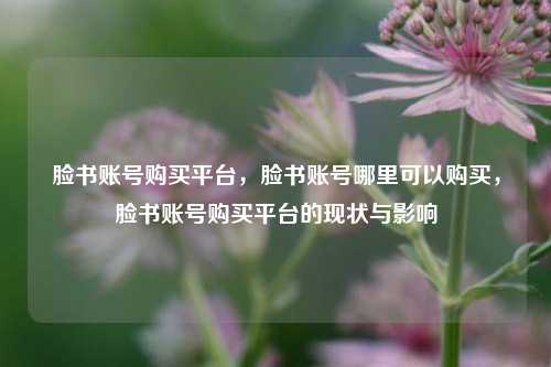 脸书账号购买平台，脸书账号哪里可以购买，脸书账号购买平台的现状与影响