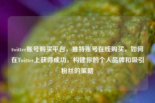 twitter账号购买平台，推特账号在线购买，如何在Twitter上获得成功，构建你的个人品牌和吸引粉丝的策略