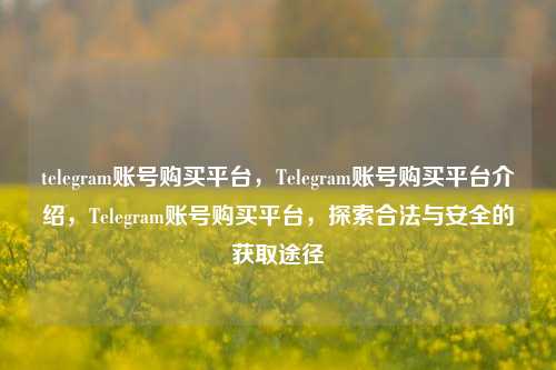 telegram账号购买平台，Telegram账号购买平台介绍，Telegram账号购买平台，探索合法与安全的获取途径