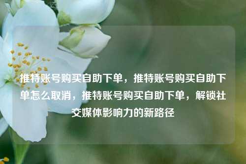 推特账号购买自助下单，推特账号购买自助下单怎么取消，推特账号购买自助下单，解锁社交媒体影响力的新路径
