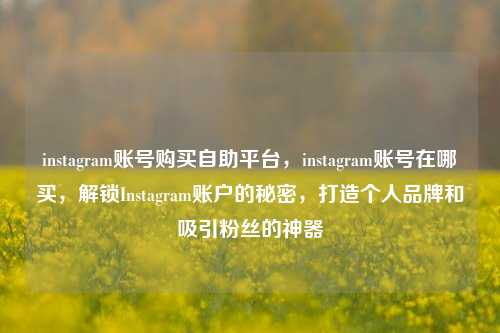 instagram账号购买自助平台，instagram账号在哪买，解锁Instagram账户的秘密，打造个人品牌和吸引粉丝的神器