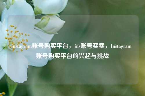 instagram账号购买平台，ins账号买卖，Instagram 账号购买平台的兴起与挑战
