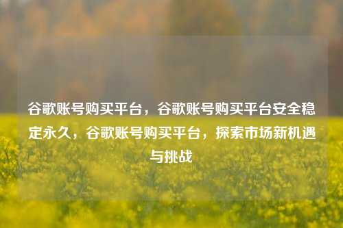 谷歌账号购买平台，谷歌账号购买平台安全稳定永久，谷歌账号购买平台，探索市场新机遇与挑战