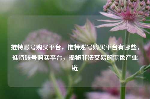 推特账号购买平台，推特账号购买平台有哪些，推特账号购买平台，揭秘非法交易的黑色产业链