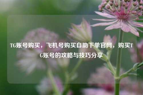 TG账号购买，飞机号购买自助下单官网，购买TG账号的攻略与技巧分享
