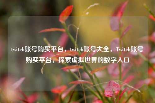 twitch账号购买平台，twitch账号大全，Twitch账号购买平台，探索虚拟世界的数字入口