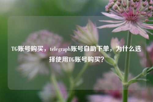 TG账号购买，telegraph账号自助下单，为什么选择使用TG账号购买？