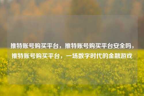 推特账号购买平台，推特账号购买平台安全吗，推特账号购买平台，一场数字时代的金融游戏
