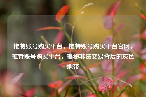推特账号购买平台，推特账号购买平台官网，推特账号购买平台，揭秘非法交易背后的灰色地带