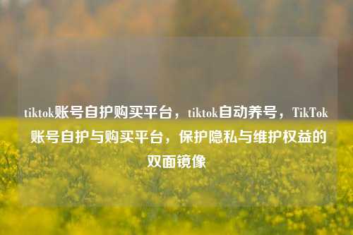 tiktok账号自护购买平台，tiktok自动养号，TikTok 账号自护与购买平台，保护隐私与维护权益的双面镜像