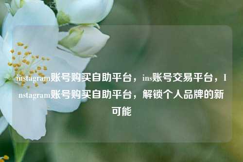 instagram账号购买自助平台，ins账号交易平台，Instagram账号购买自助平台，解锁个人品牌的新可能
