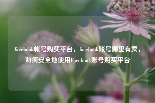 facebook帐号购买平台，facebook账号哪里有卖，如何安全地使用Facebook账号购买平台