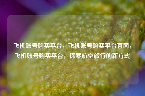 飞机账号购买平台，飞机账号购买平台官网，飞机账号购买平台，探索航空旅行的新方式