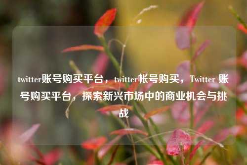 twitter账号购买平台，twitter帐号购买，Twitter 账号购买平台，探索新兴市场中的商业机会与挑战