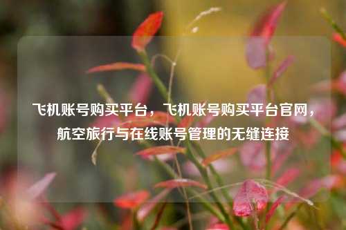 飞机账号购买平台，飞机账号购买平台官网，航空旅行与在线账号管理的无缝连接