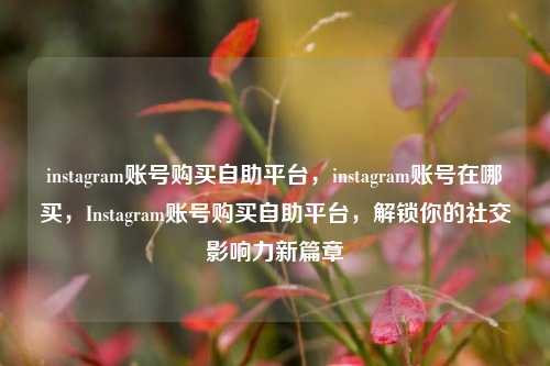instagram账号购买自助平台，instagram账号在哪买，Instagram账号购买自助平台，解锁你的社交影响力新篇章