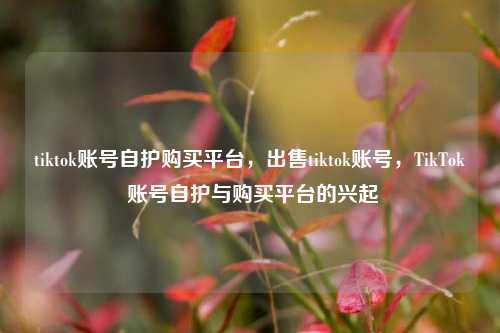 tiktok账号自护购买平台，出售tiktok账号，TikTok 账号自护与购买平台的兴起