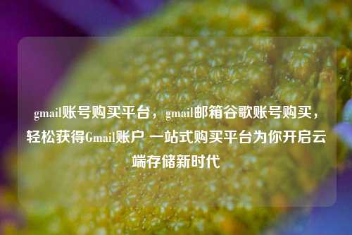 gmail账号购买平台，gmail邮箱谷歌账号购买，轻松获得Gmail账户 一站式购买平台为你开启云端存储新时代