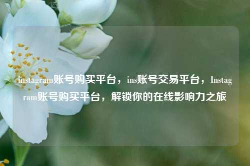 instagram账号购买平台，ins账号交易平台，Instagram账号购买平台，解锁你的在线影响力之旅