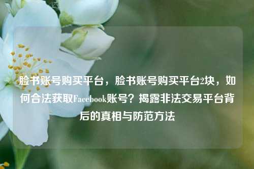 脸书账号购买平台，脸书账号购买平台2块，如何合法获取Facebook账号？揭露非法交易平台背后的真相与防范方法