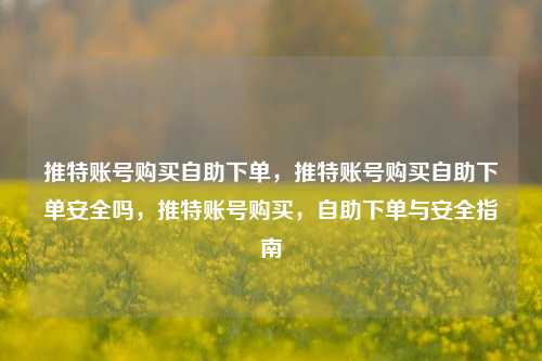 推特账号购买自助下单，推特账号购买自助下单安全吗，推特账号购买，自助下单与安全指南