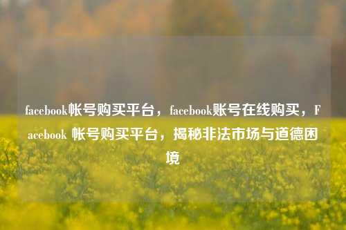 facebook帐号购买平台，facebook账号在线购买，Facebook 帐号购买平台，揭秘非法市场与道德困境