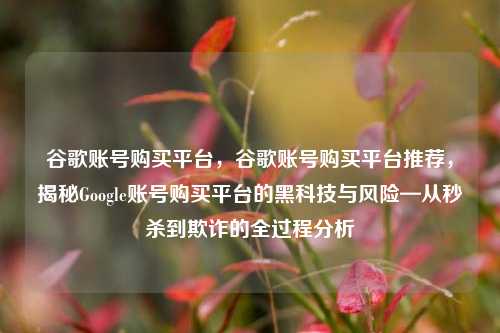 谷歌账号购买平台，谷歌账号购买平台推荐，揭秘Google账号购买平台的黑科技与风险—从秒杀到欺诈的全过程分析