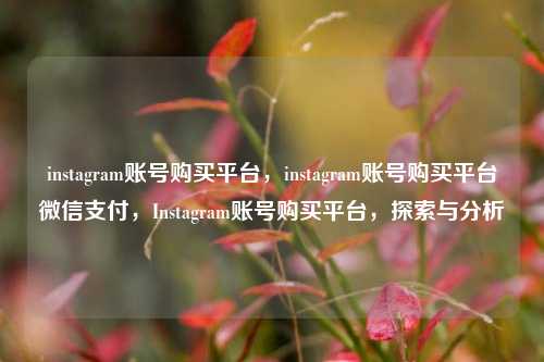 instagram账号购买平台，instagram账号购买平台微信支付，Instagram账号购买平台，探索与分析
