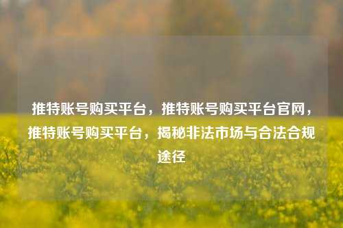 推特账号购买平台，推特账号购买平台官网，推特账号购买平台，揭秘非法市场与合法合规途径