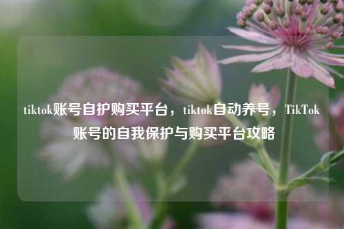 tiktok账号自护购买平台，tiktok自动养号，TikTok 账号的自我保护与购买平台攻略