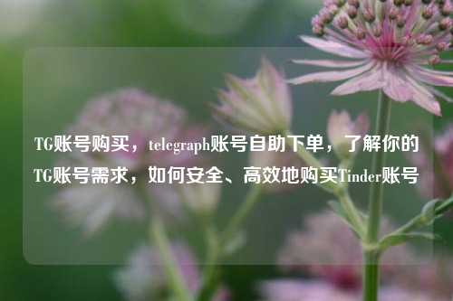 TG账号购买，telegraph账号自助下单，了解你的TG账号需求，如何安全、高效地购买Tinder账号