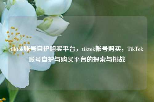 tiktok账号自护购买平台，tiktok帐号购买，TikTok账号自护与购买平台的探索与挑战