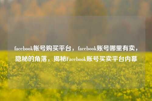 facebook帐号购买平台，facebook账号哪里有卖，隐秘的角落，揭秘Facebook账号买卖平台内幕