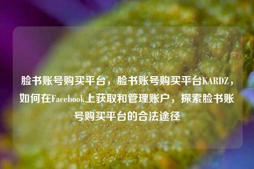 脸书账号购买平台，脸书账号购买平台KARDZ，如何在Facebook上获取和管理账户，探索脸书账号购买平台的合法途径