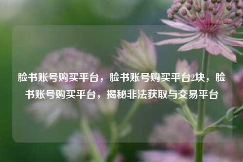 脸书账号购买平台，脸书账号购买平台2块，脸书账号购买平台，揭秘非法获取与交易平台