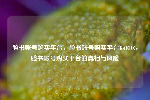 脸书账号购买平台，脸书账号购买平台KARDZ，脸书账号购买平台的真相与风险