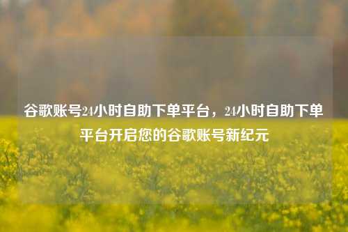 谷歌账号24小时自助下单平台，24小时自助下单平台开启您的谷歌账号新纪元