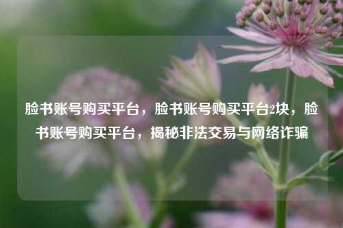 脸书账号购买平台，脸书账号购买平台2块，脸书账号购买平台，揭秘非法交易与网络诈骗