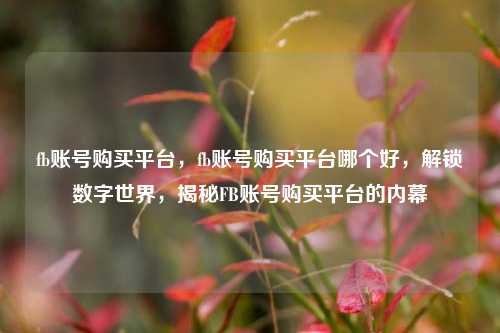 fb账号购买平台，fb账号购买平台哪个好，解锁数字世界，揭秘FB账号购买平台的内幕