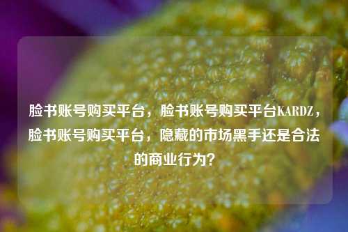 脸书账号购买平台，脸书账号购买平台KARDZ，脸书账号购买平台，隐藏的市场黑手还是合法的商业行为？