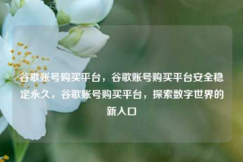 谷歌账号购买平台，谷歌账号购买平台安全稳定永久，谷歌账号购买平台，探索数字世界的新入口