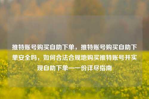 推特账号购买自助下单，推特账号购买自助下单安全吗，如何合法合规地购买推特账号并实现自助下单—一份详尽指南