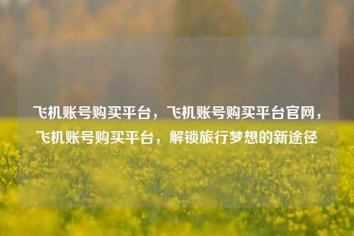 飞机账号购买平台，飞机账号购买平台官网，飞机账号购买平台，解锁旅行梦想的新途径