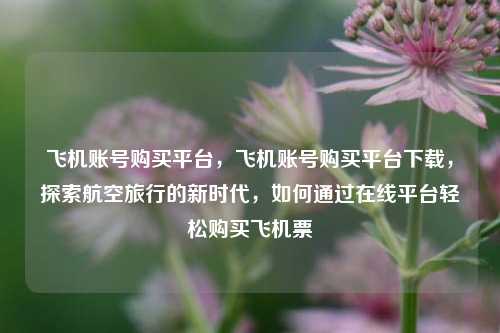 飞机账号购买平台，飞机账号购买平台下载，探索航空旅行的新时代，如何通过在线平台轻松购买飞机票