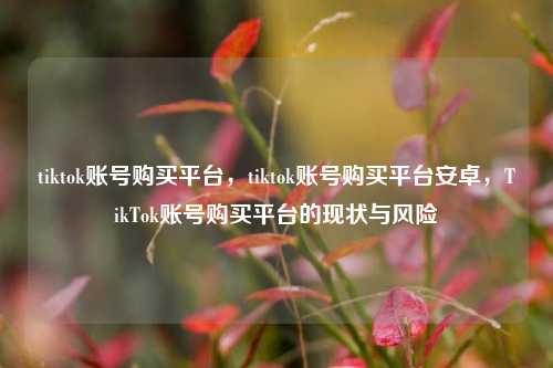 tiktok账号购买平台，tiktok账号购买平台安卓，TikTok账号购买平台的现状与风险