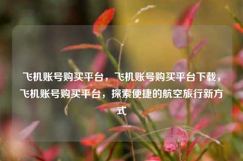 飞机账号购买平台，飞机账号购买平台下载，飞机账号购买平台，探索便捷的航空旅行新方式