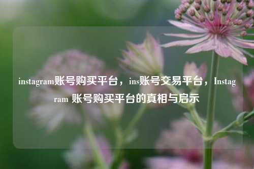 instagram账号购买平台，ins账号交易平台，Instagram 账号购买平台的真相与启示