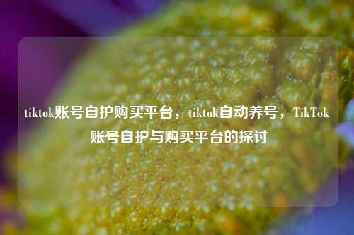 tiktok账号自护购买平台，tiktok自动养号，TikTok 账号自护与购买平台的探讨